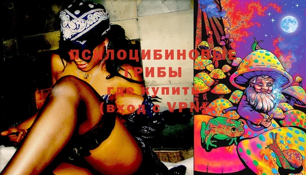 ПСИЛОЦИБИНОВЫЕ ГРИБЫ Осташков