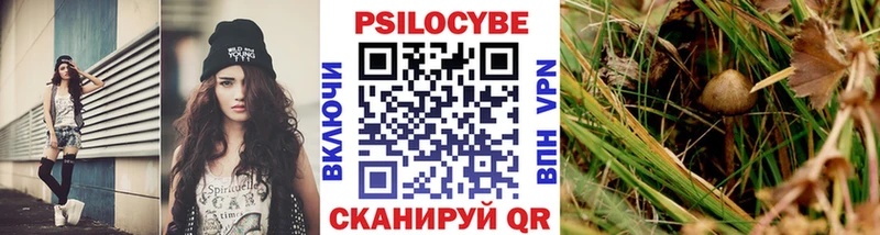 Галлюциногенные грибы MAGIC MUSHROOMS  наркотики  Терек 